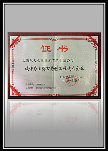 上海市专利工作试点企业